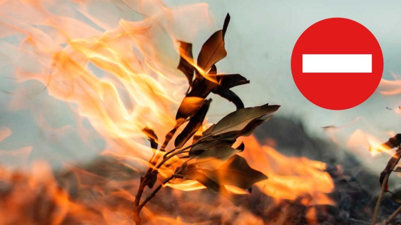 Rappel : interdiction de brûler des déchets verts