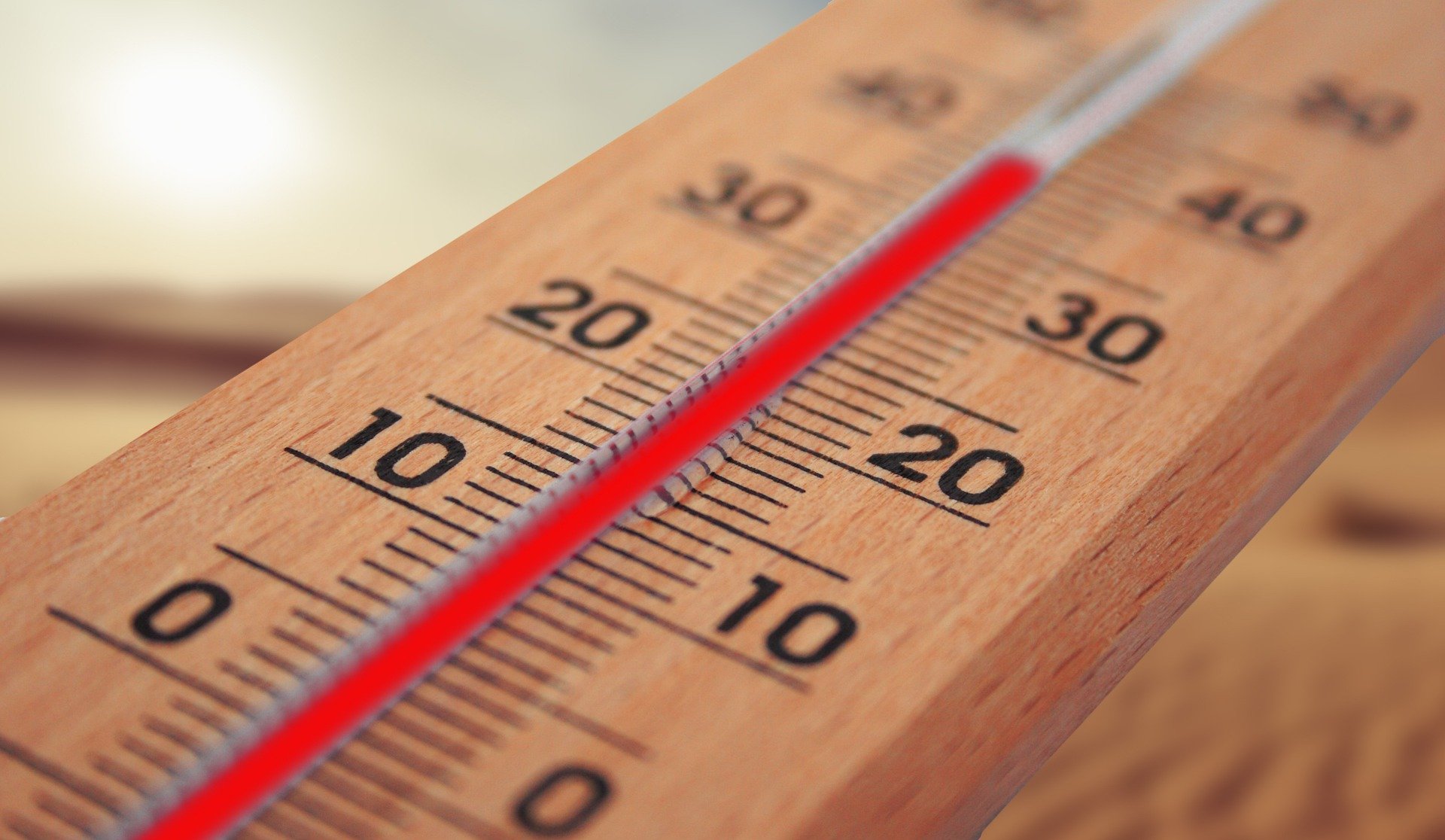 Alerte canicule