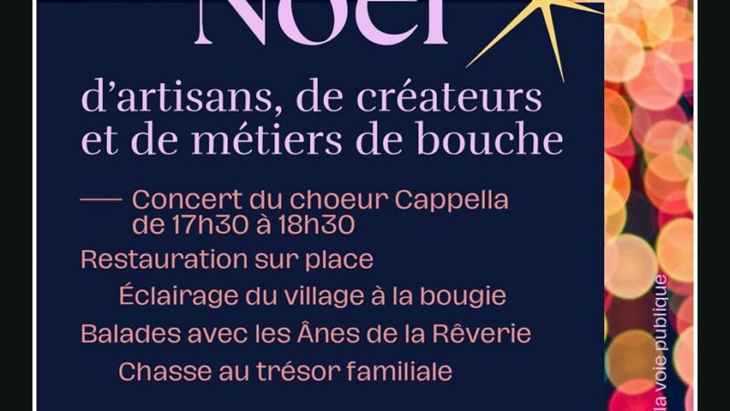 Marché de Noël organisé par le FRASS Dimanche 7 décembre