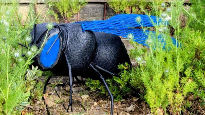 Exposition Super pollinisateur – Été 2026