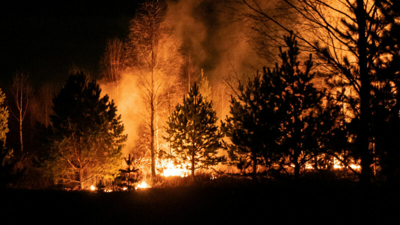 Prévenir les feux de forêt et d&rsquo;espaces naturels