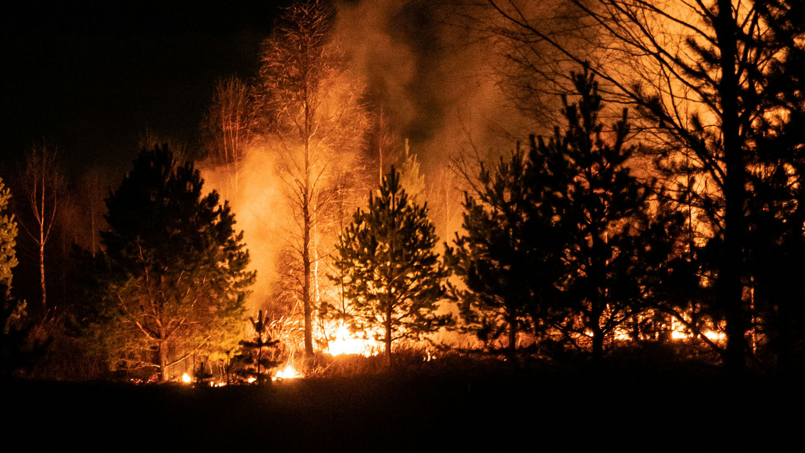 Prévenir les feux de forêt et d&rsquo;espaces naturels
